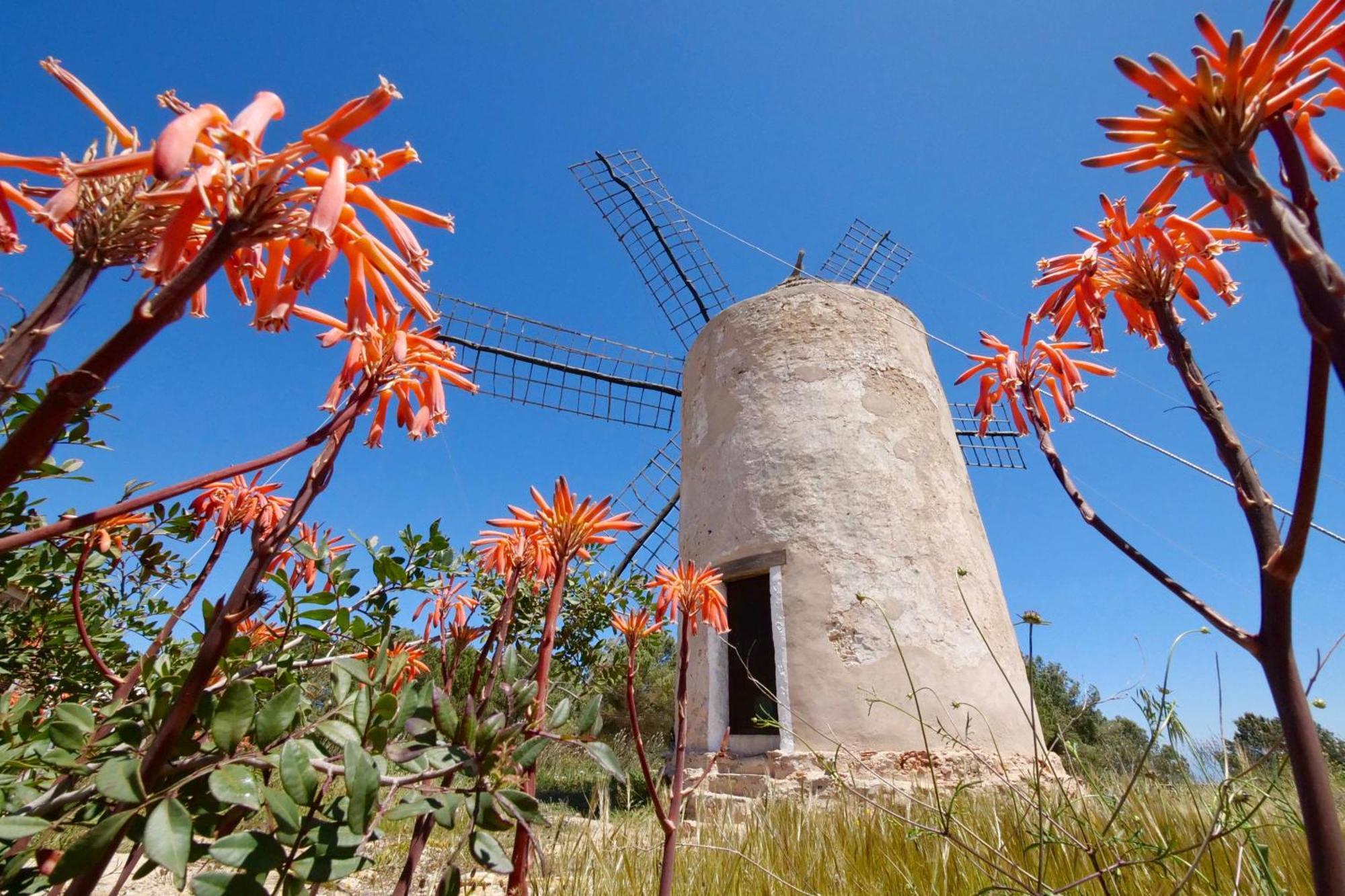 Voga Mari - Astbury Formentera Apartamento Playa Migjorn Exterior foto